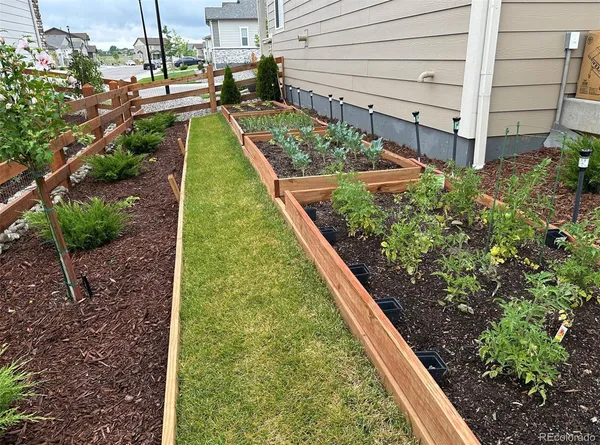 a view of a yard with potted plants