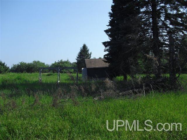 N1018 Trudell Road Chatham, MI 49816 - Photo 9 of 11