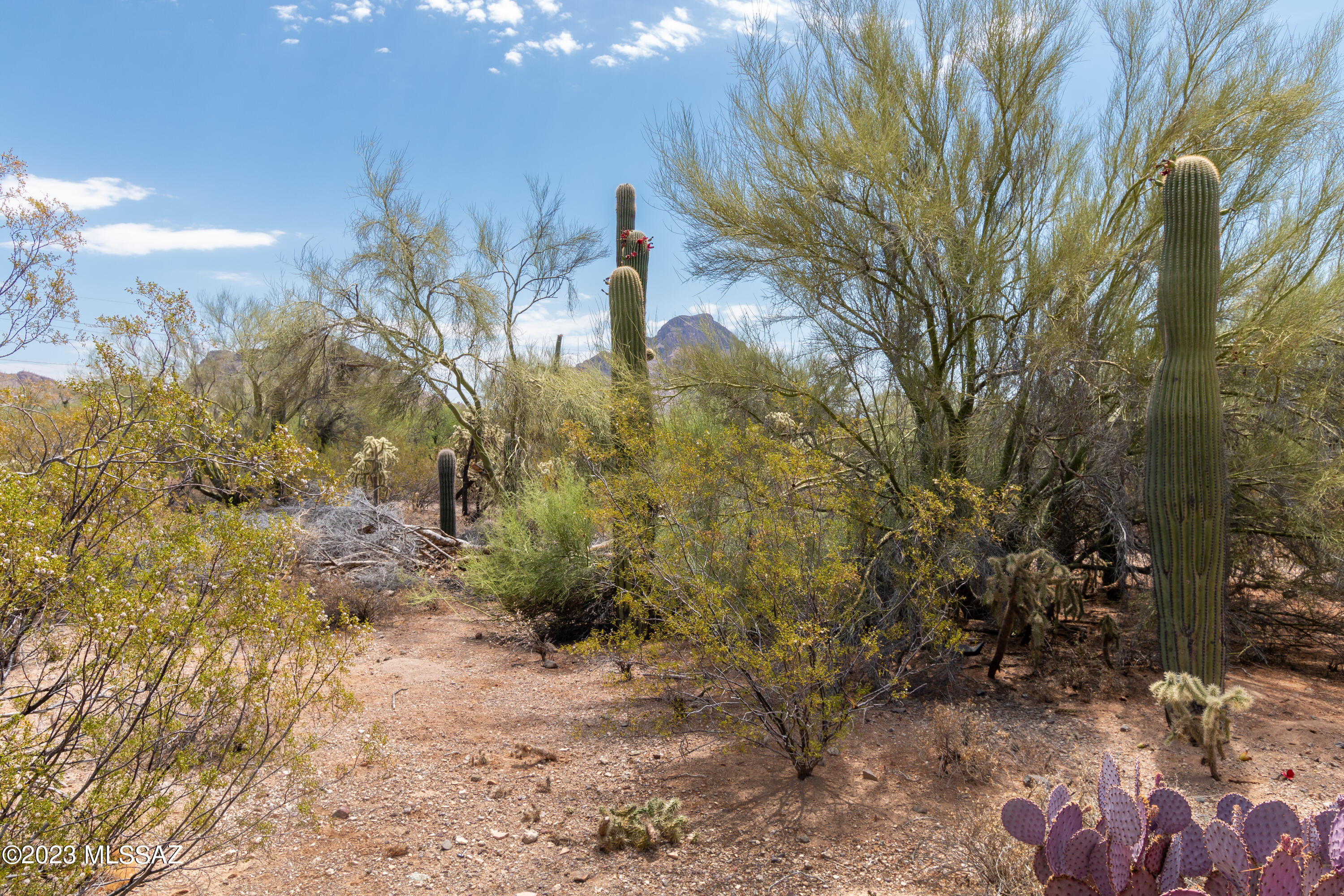 3237 South Desert Echo Road Tucson, AZ 85735 - Photo 35 of 41 Gallery Image 35