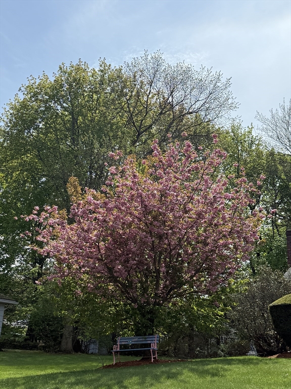 111 Draper Street Lowell, MA 01852 - Photo 41 of 42