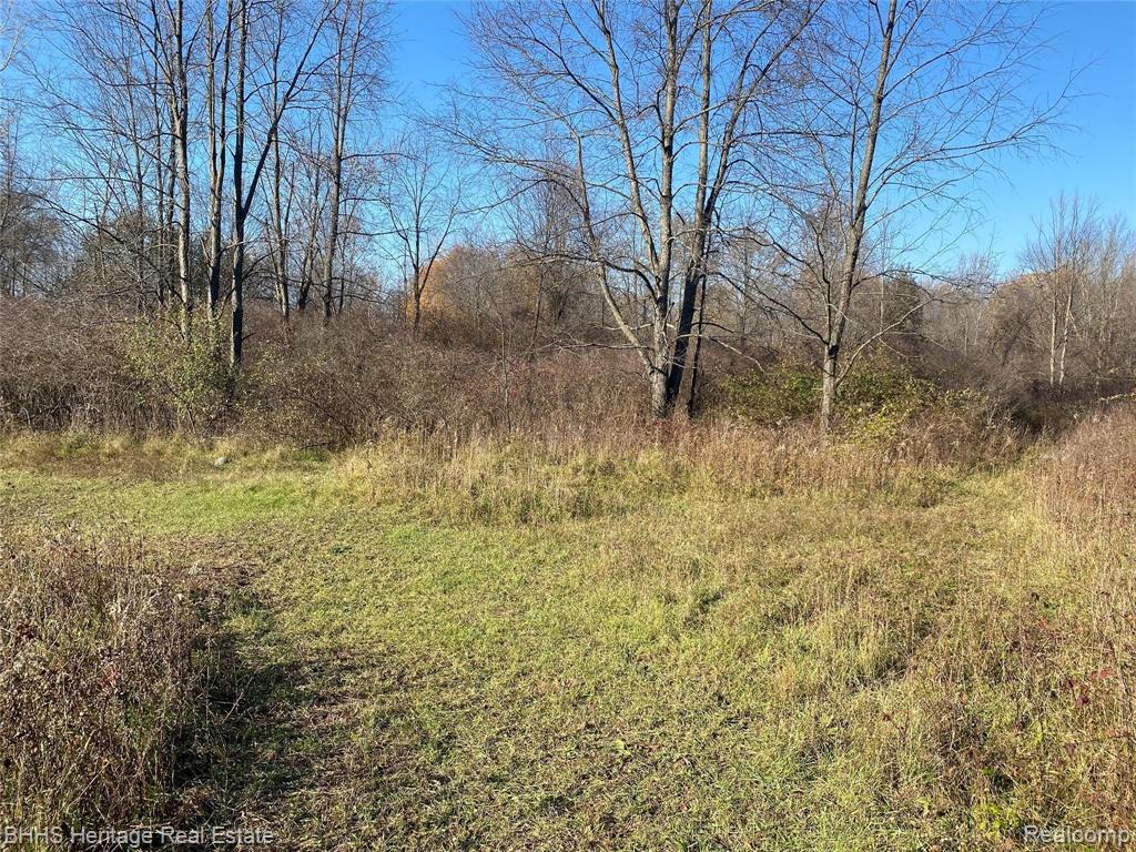 Vl Vl Kleinway Road Fowlerville, MI 48836 - Photo 4 of 17