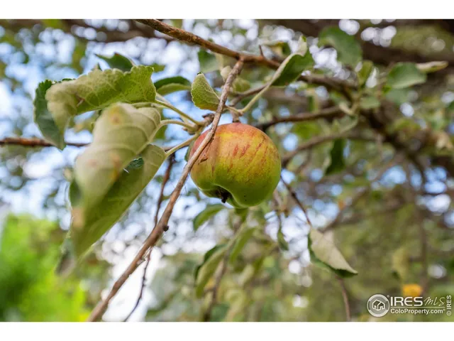 $255,000 | 1023 Edmunds Street, Brush, CO 80723