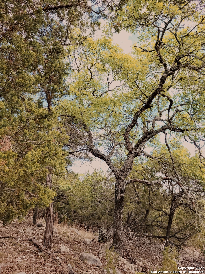 2515 Smoke Rise Bulverde, TX 78163 - Photo 6 of 24
