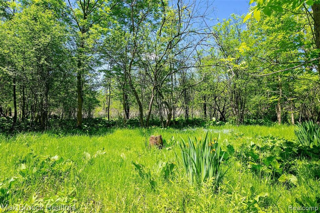19248 Riverside Drive Beverly Hills, MI 48025 - Photo 52 of 54