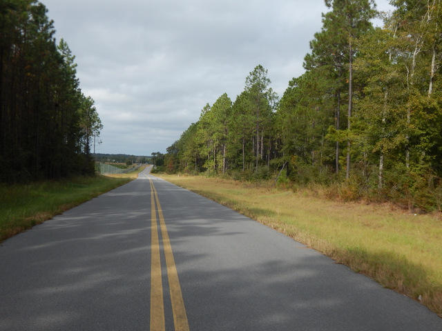 7455 Wittmer Ranch Road Laurel Hill, FL 32567 - Photo 54 of 75 Gallery Image 54