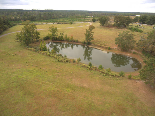 7455 Wittmer Ranch Road Laurel Hill, FL 32567 - Photo 61 of 75 Gallery Image 61