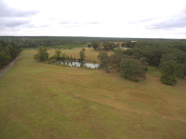 7455 Wittmer Ranch Road Laurel Hill, FL 32567 - Photo 66 of 75 Gallery Image 66