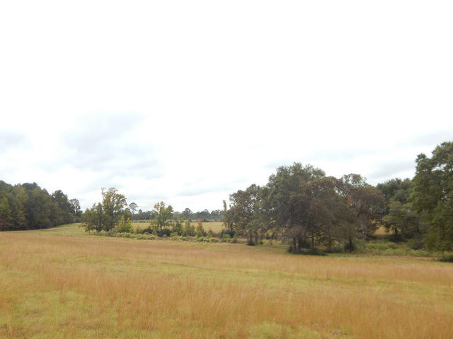 7455 Wittmer Ranch Road Laurel Hill, FL 32567 - Photo 70 of 75 Gallery Image 70