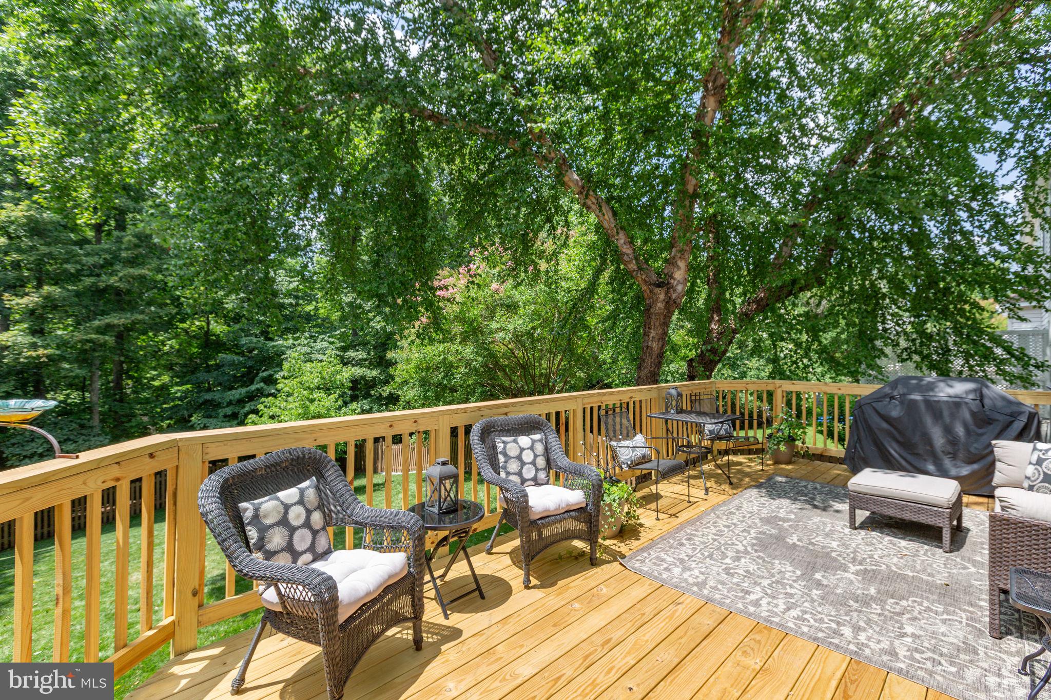 24 Tavern Road Stafford, VA 22554 - Photo 14 of 31 Newly renovated rear deck