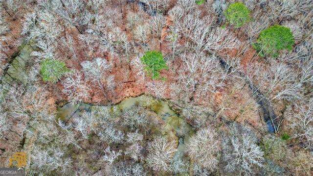 433 Spring Place Resaca Road Chatsworth, GA 30705 - Photo 55 of 60 a close up of a plants in a garden