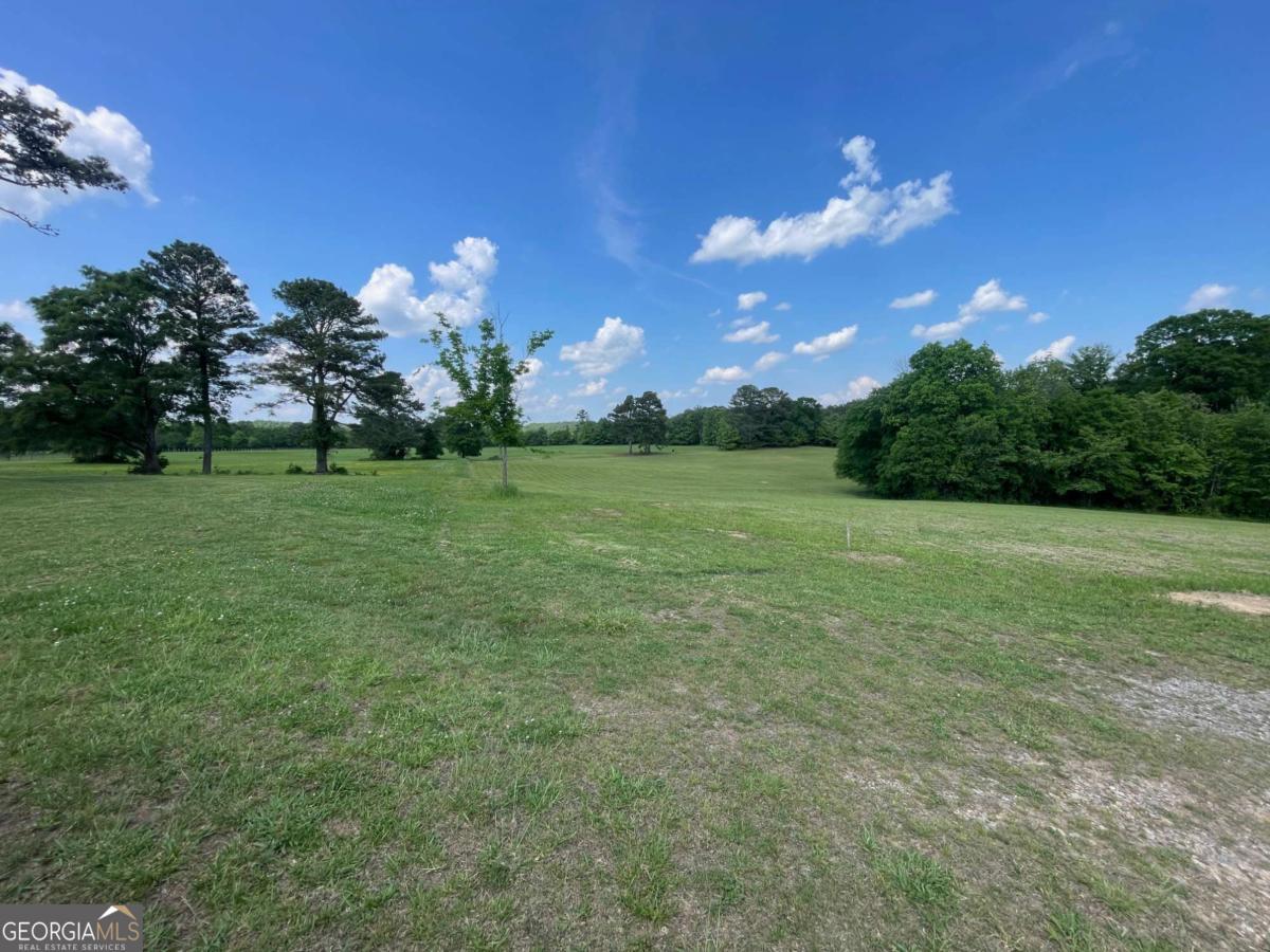 433 Spring Place Resaca Road Chatsworth, GA 30705 - Photo 56 of 60 a view of a big yard with a house