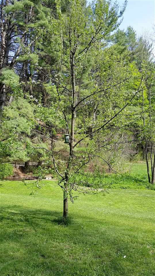 191 Fox Farm Road Brattleboro, VT 05301 - Photo 22 of 24