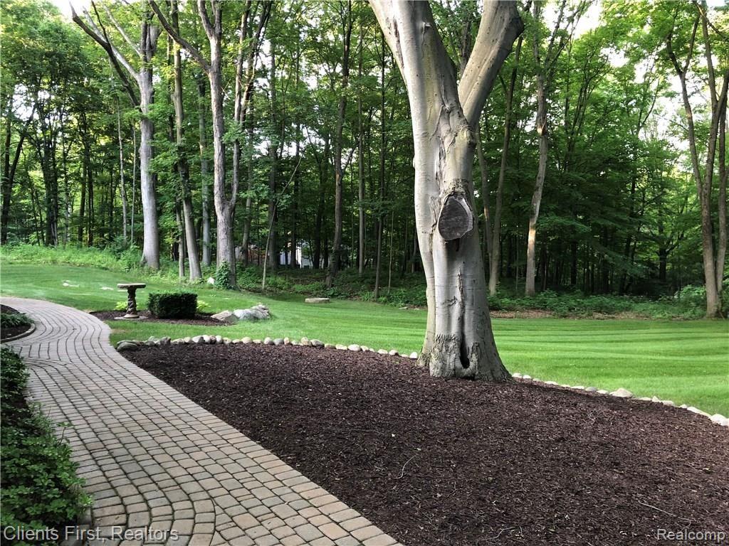 8175 Ridge Road North Canton, MI 48187 - Photo 20 of 70 Outside - Front Yard 3.jpg