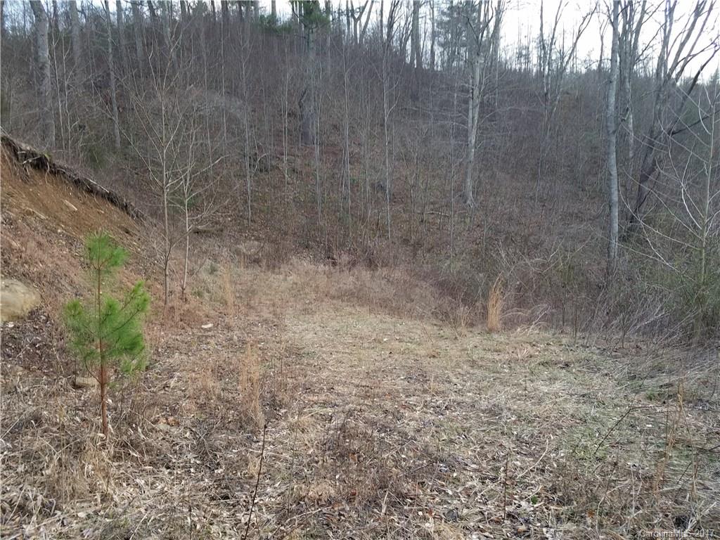 9999 Jim Hensley Road Marshall, NC 28753 - Photo 2 of 7 Gallery Image 2