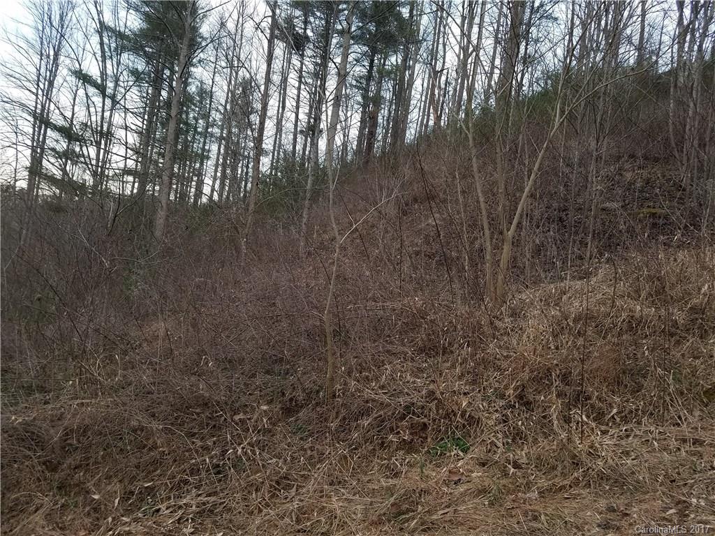 9999 Jim Hensley Road Marshall, NC 28753 - Photo 3 of 7 Gallery Image 3
