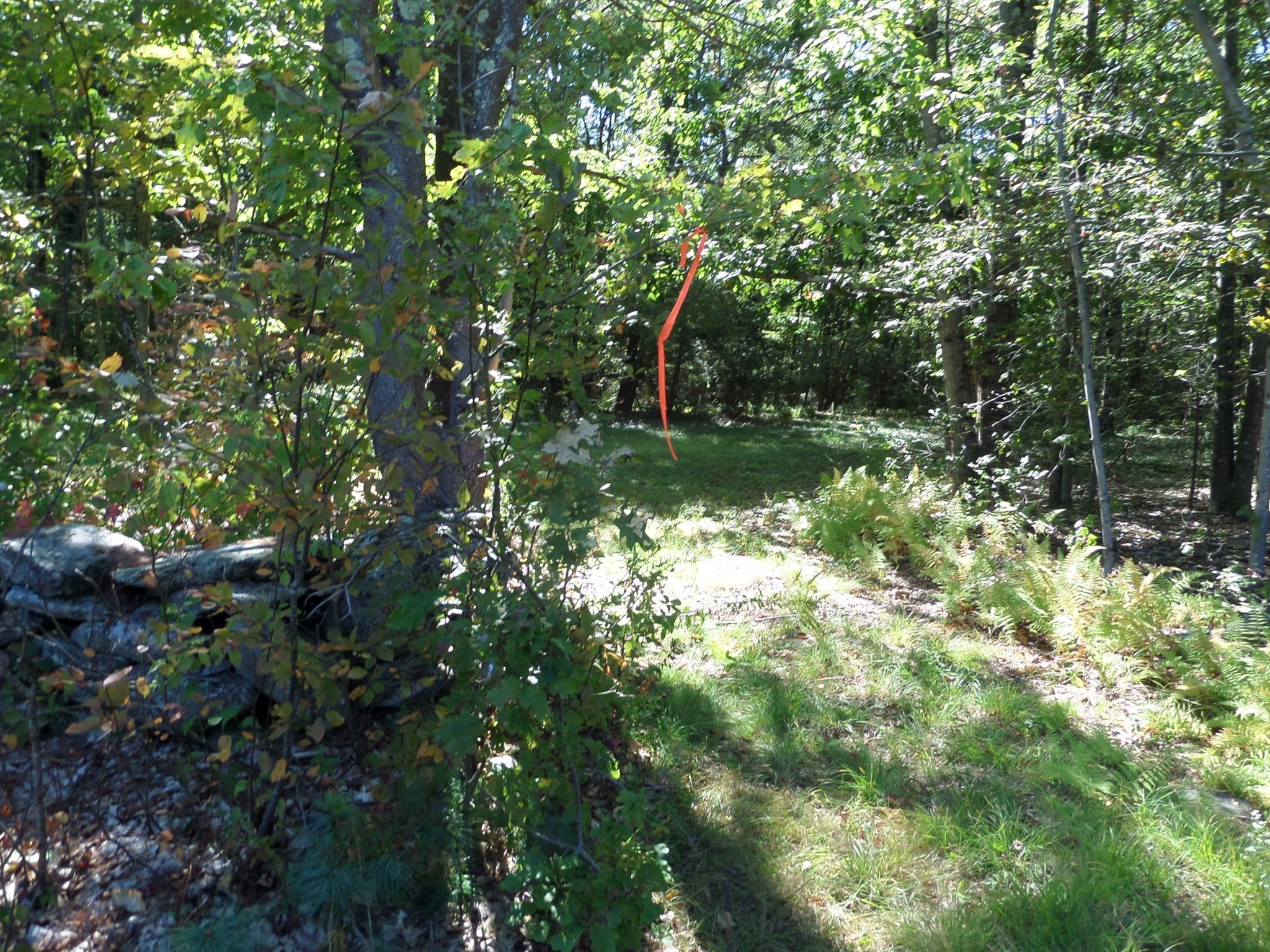 0 Stage Road Williamsburg, MA 01096 - Photo 1 of 8 Gallery Image 1