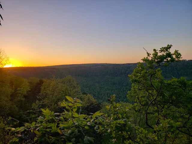 $335,000 | 0 Crockett Pointe, Unit JF161, Jasper, TN 37347