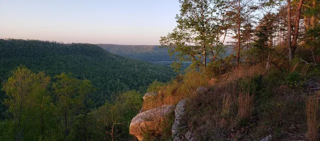 $335,000 | 0 Crockett Pointe, Unit JF161, Jasper, TN 37347