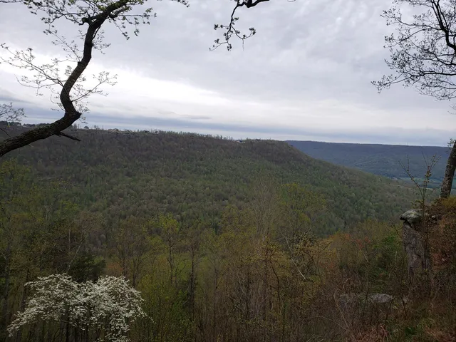 $335,000 | 0 Crockett Pointe, Unit JF161, Jasper, TN 37347