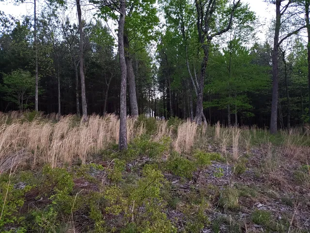 $335,000 | 0 Crockett Pointe, Unit JF161, Jasper, TN 37347