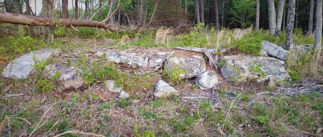 $335,000 | 0 Crockett Pointe, Unit JF161, Jasper, TN 37347