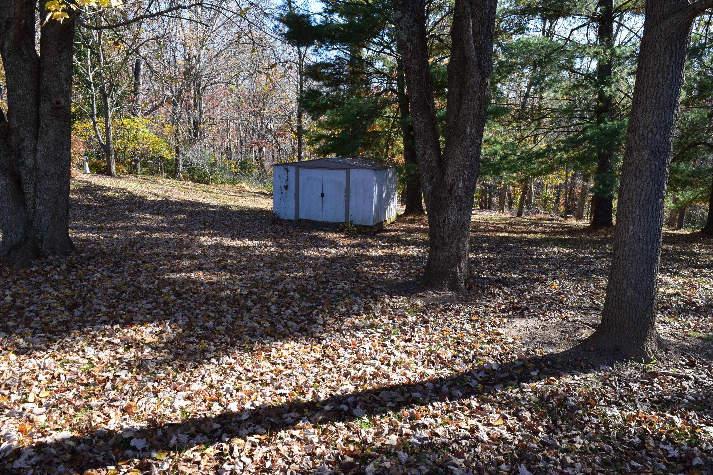 695 Long Level Road Southwest Floyd, VA 24091 - Photo 14 of 55 a view of a backyard with large trees