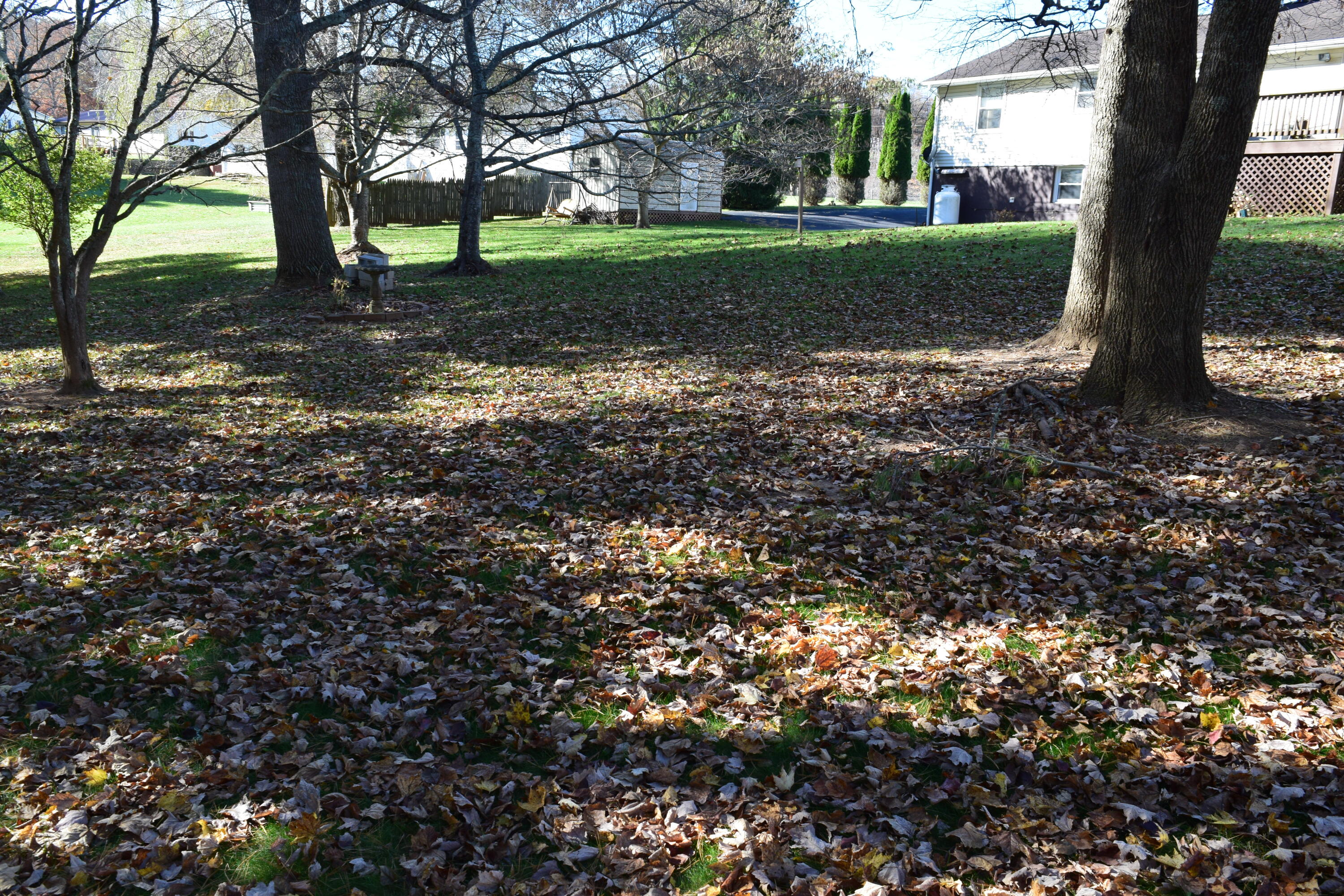 695 Long Level Road Southwest Floyd, VA 24091 - Photo 15 of 55 a view of a yard with plants and large trees