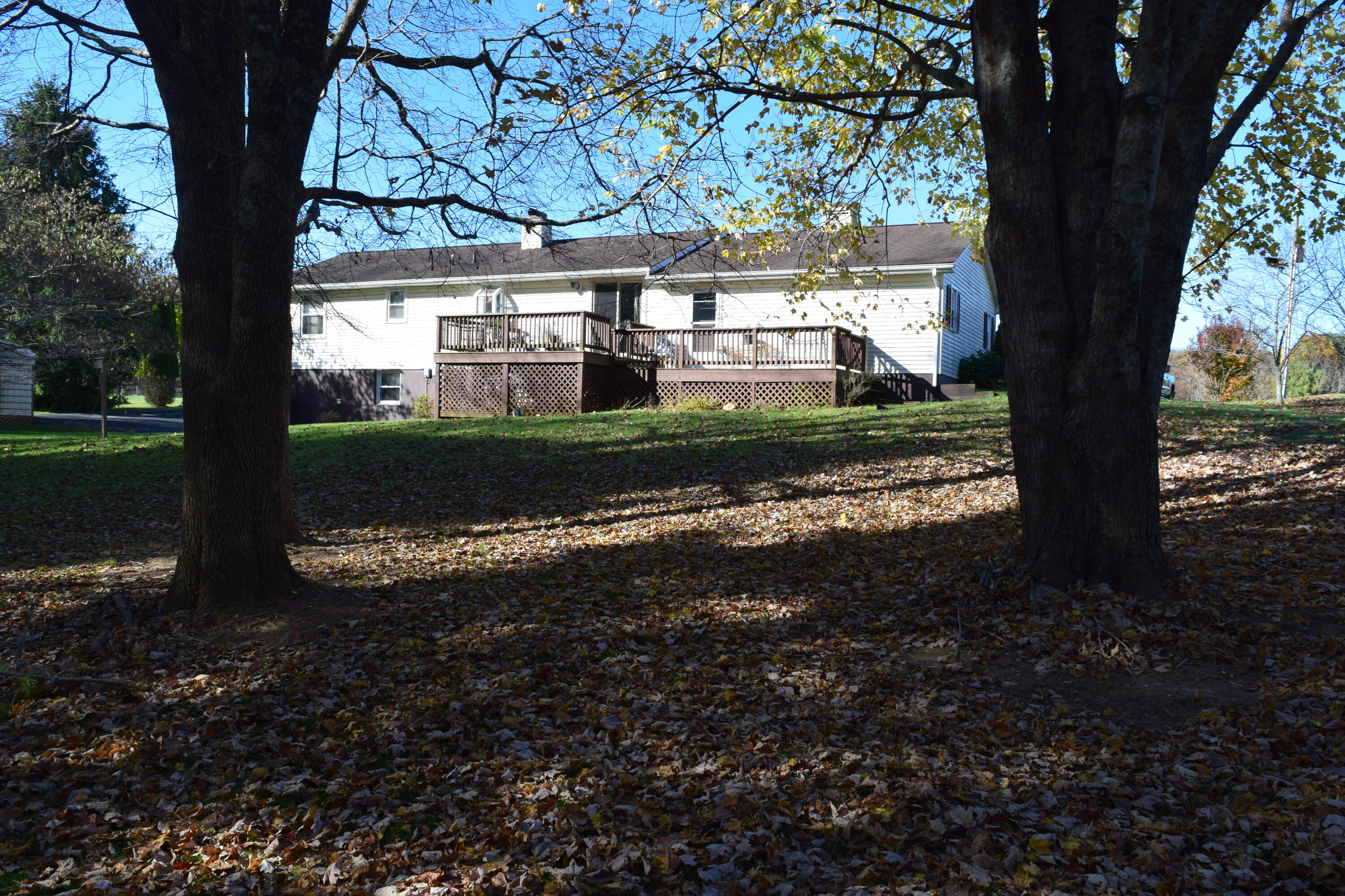 695 Long Level Road Southwest Floyd, VA 24091 - Photo 16 of 55 a view of a yard with plants and a trees