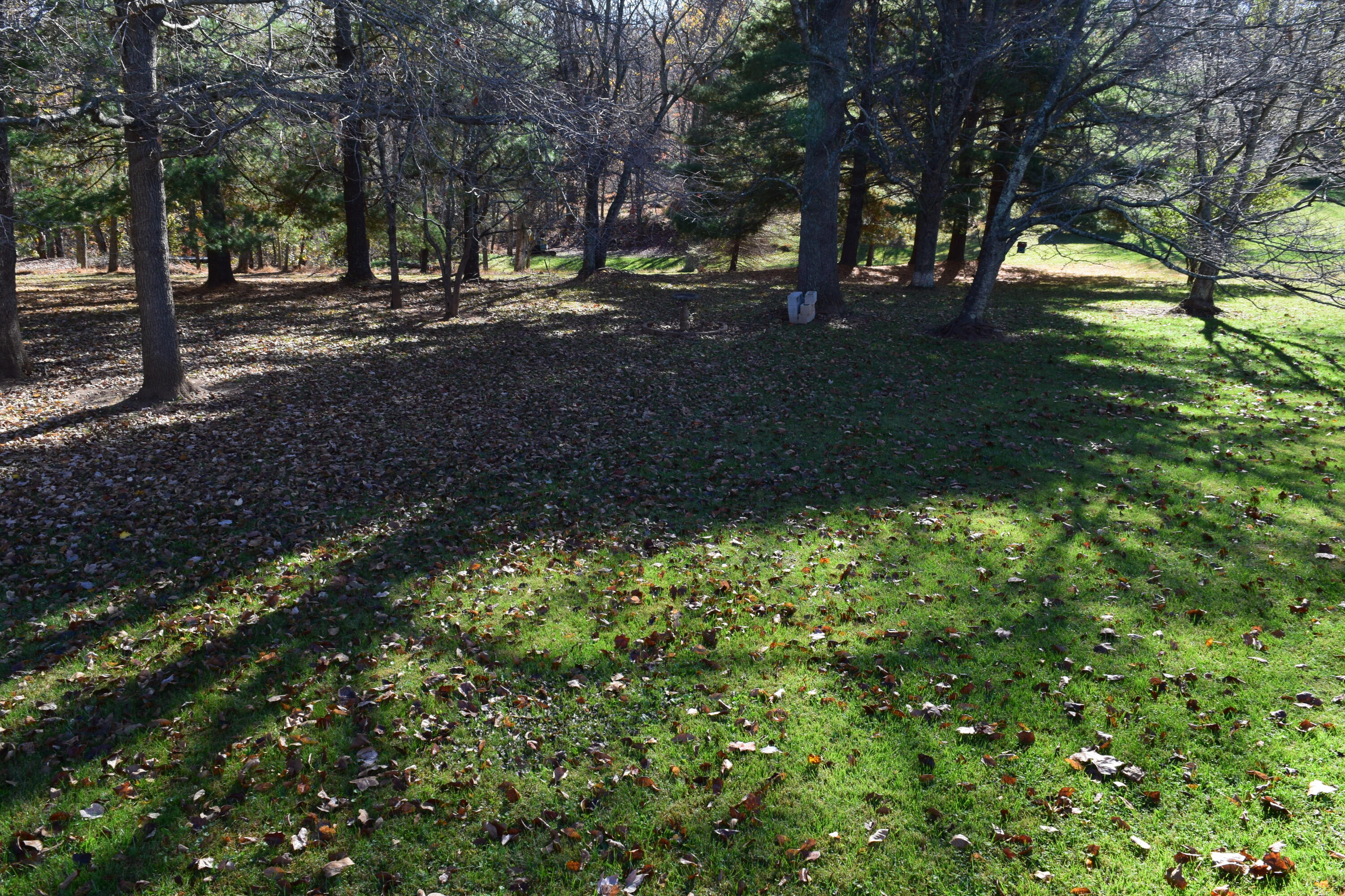 695 Long Level Road Southwest Floyd, VA 24091 - Photo 55 of 55 a view of backyard with green space