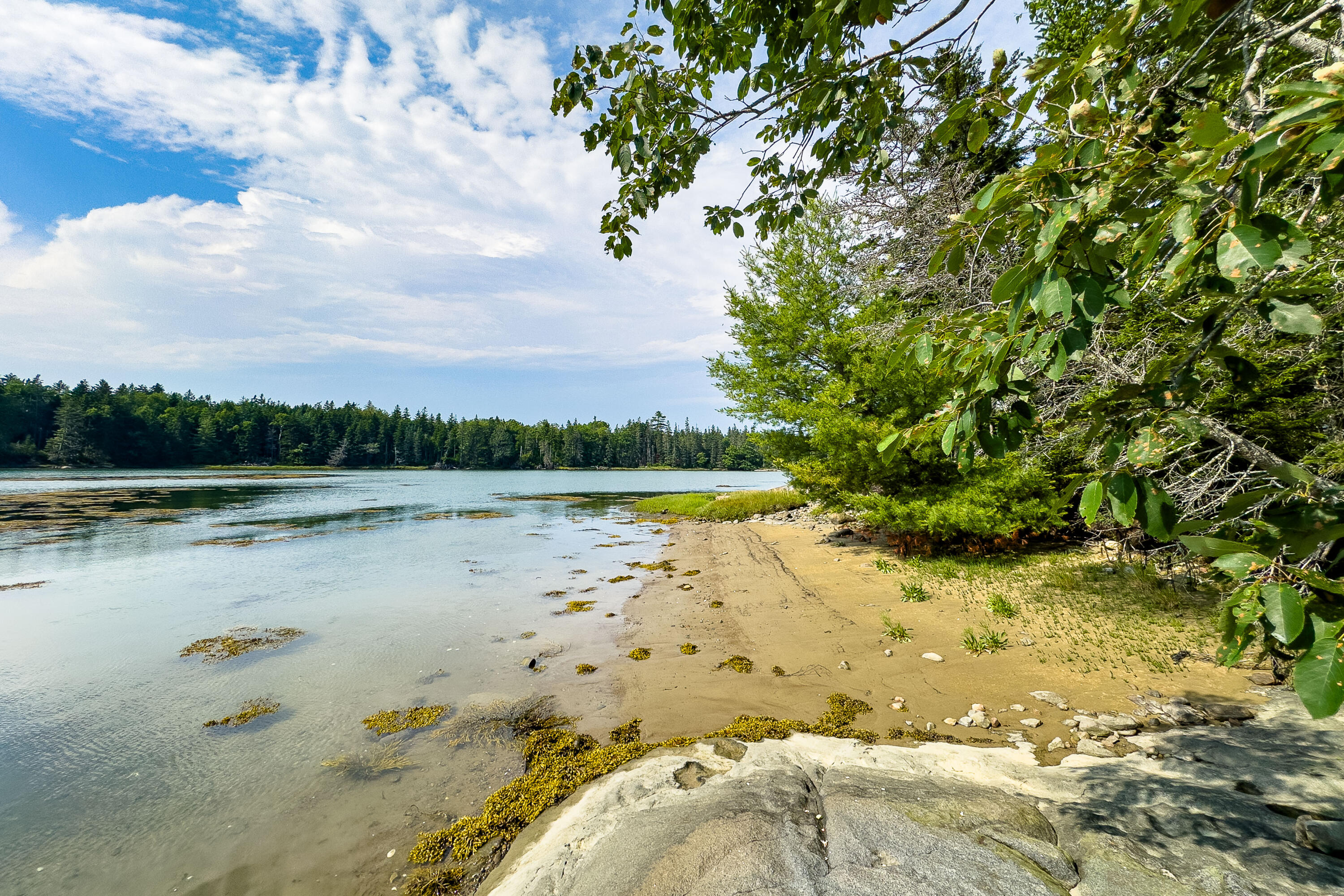 98 Harrington Cove Road Spruce Head, ME 04859 - Photo 3 of 49 98HaringtonCove_03_SS_mls