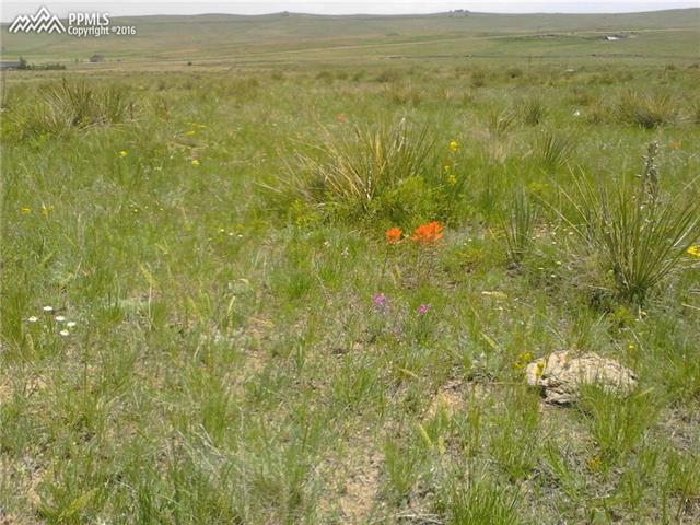 22345 Roxie Ridge View Peyton, CO 80831 - Photo 6 of 6