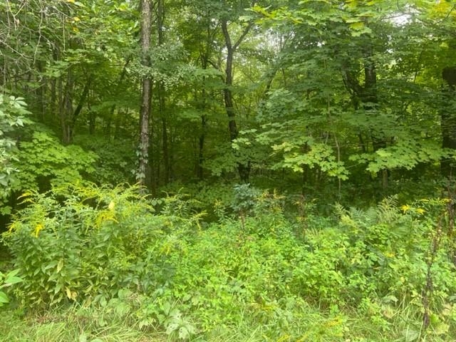 40 Highway 16B Ossipee, NH 03814 - Photo 1 of 14