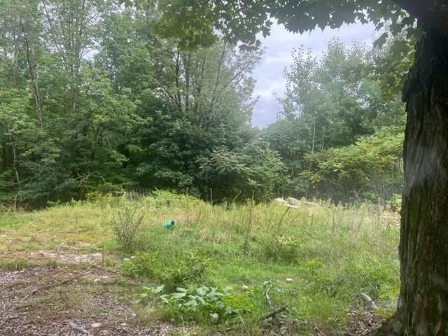40 Highway 16B Ossipee, NH 03814 - Photo 11 of 14