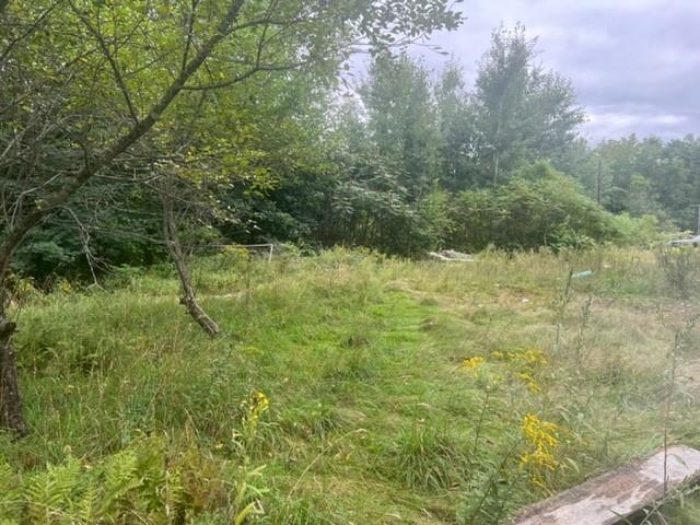40 Highway 16B Ossipee, NH 03814 - Photo 12 of 14