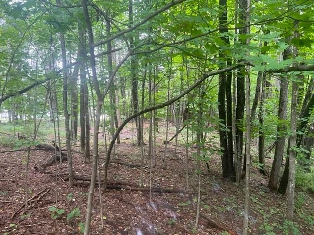 40 Highway 16B Ossipee, NH 03814 - Photo 14 of 14
