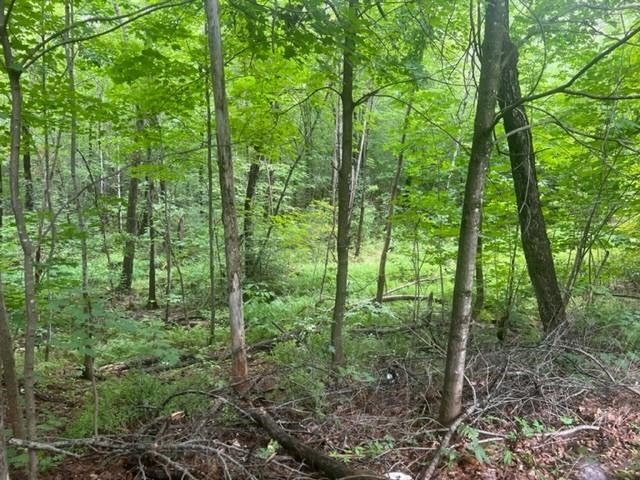 40 Highway 16B Ossipee, NH 03814 - Photo 4 of 14