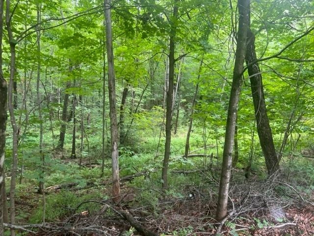 40 Highway 16B Ossipee, NH 03814 - Photo 5 of 14