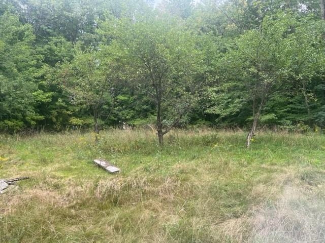 40 Highway 16B Ossipee, NH 03814 - Photo 7 of 14