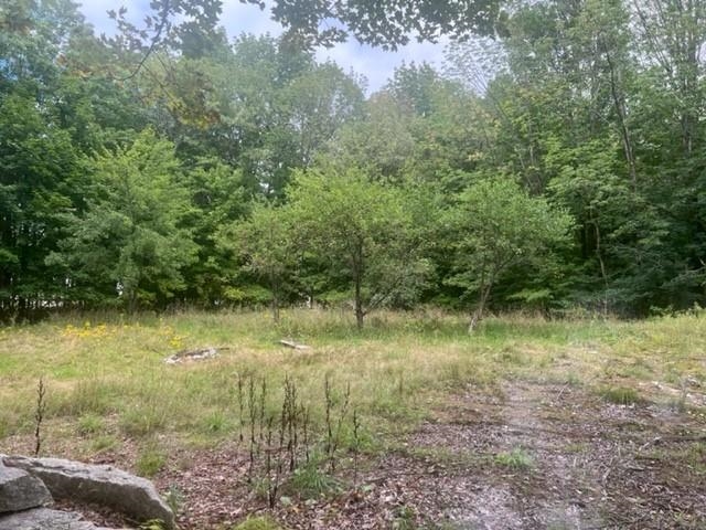 40 Highway 16B Ossipee, NH 03814 - Photo 10 of 14