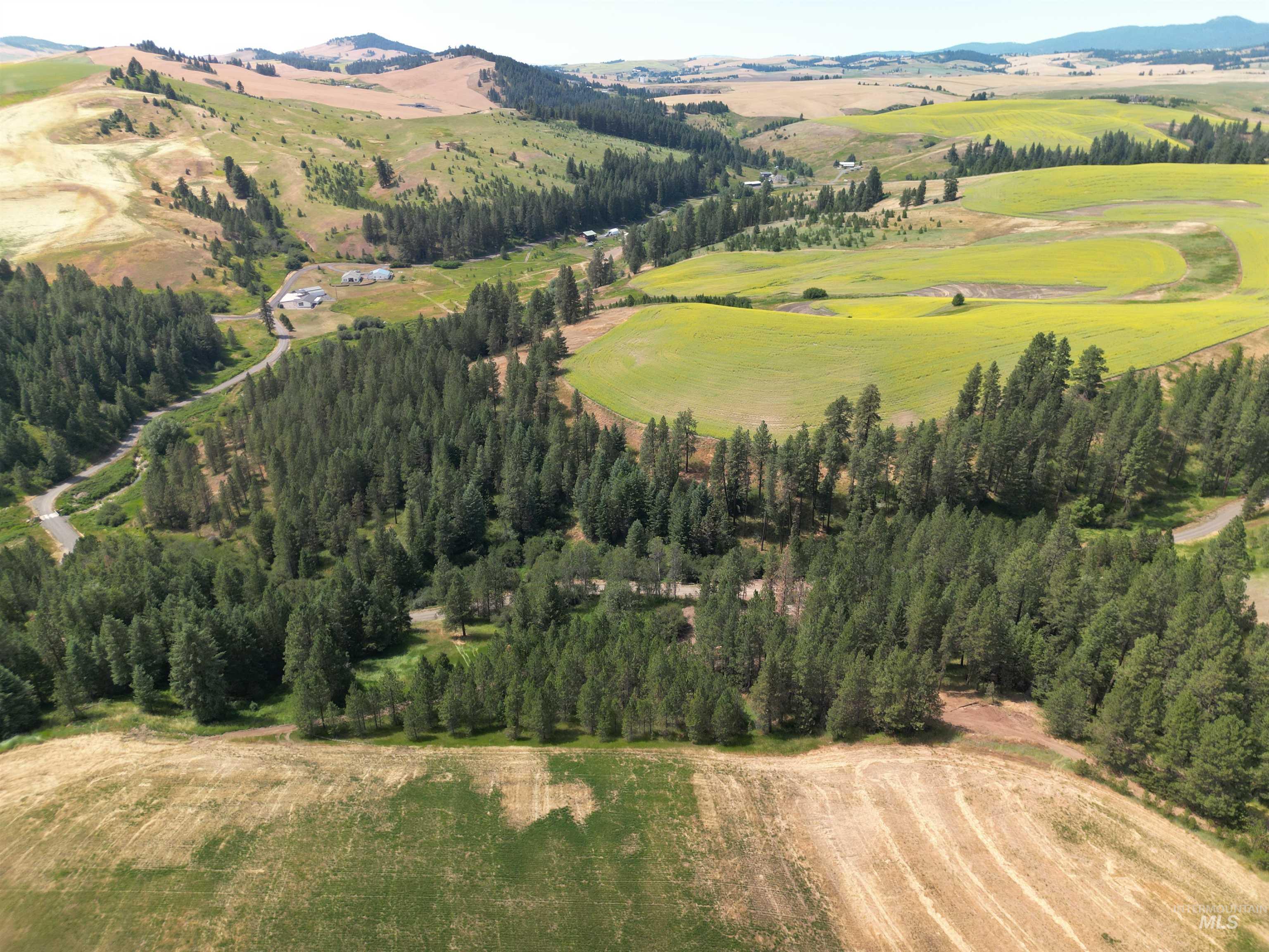 0 Parkins Road Troy, ID 83871 - Photo 20 of 33