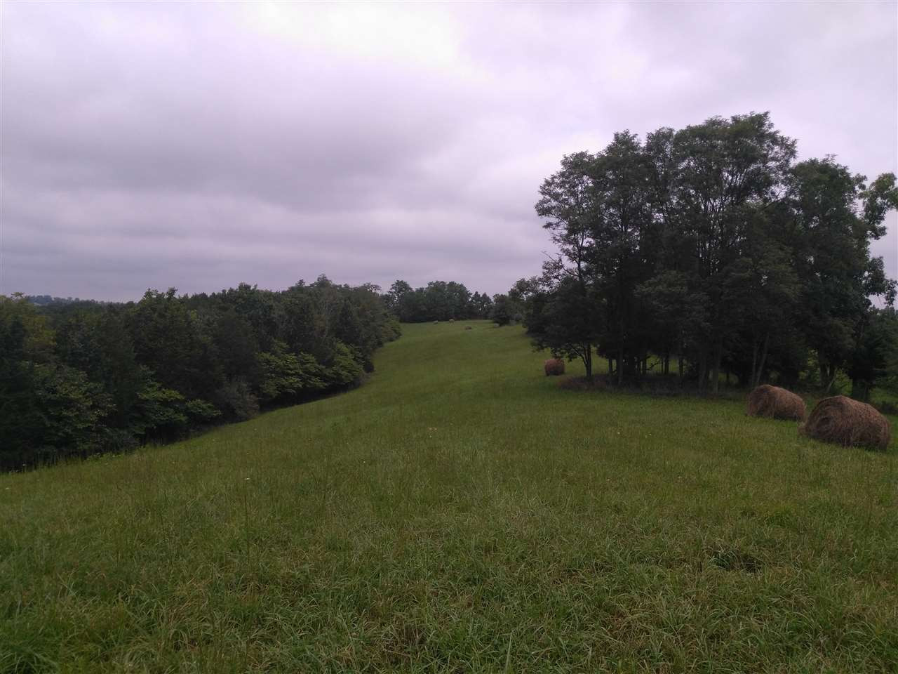 1 Clay Ridge Road Alexandria, KY 41001 - Photo 3 of 6 Gallery Image 3