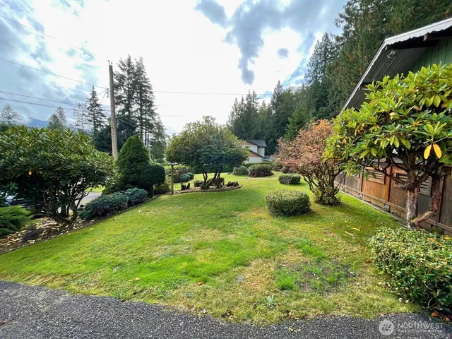 a view of garden with trees