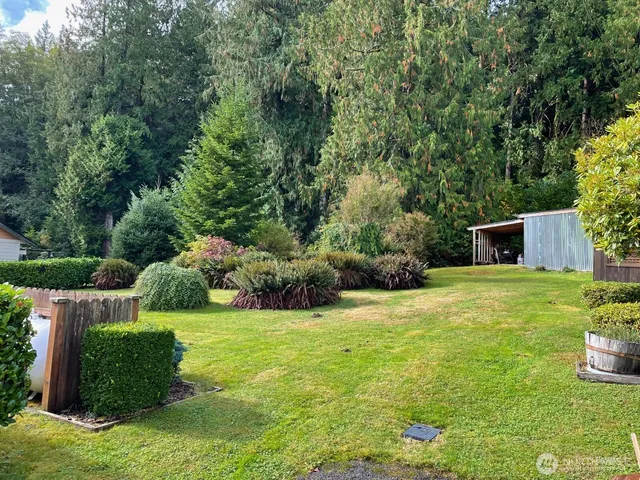 a view of a garden with plants