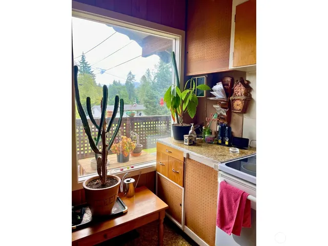 a living room with a couch and a potted plant