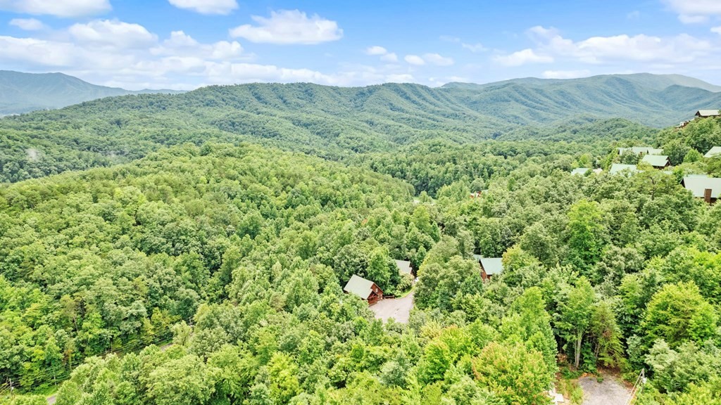 707 Ridgewood Way Pigeon Forge, TN 37863 - Photo 31 of 31 Gallery Image 31