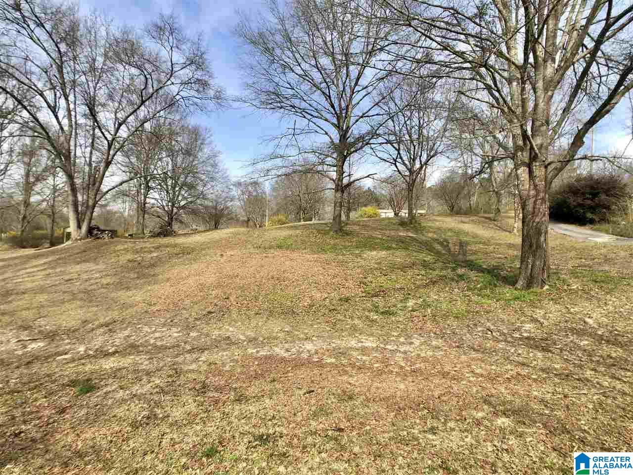 230 Warrior Trail Hayden, AL 35079 - Photo 19 of 21