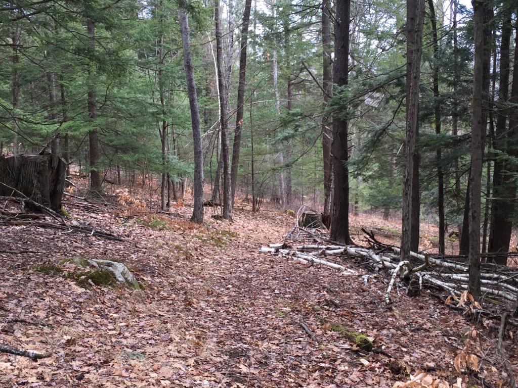 307 Craigue Hill Road Springfield, VT 05156 - Photo 11 of 18