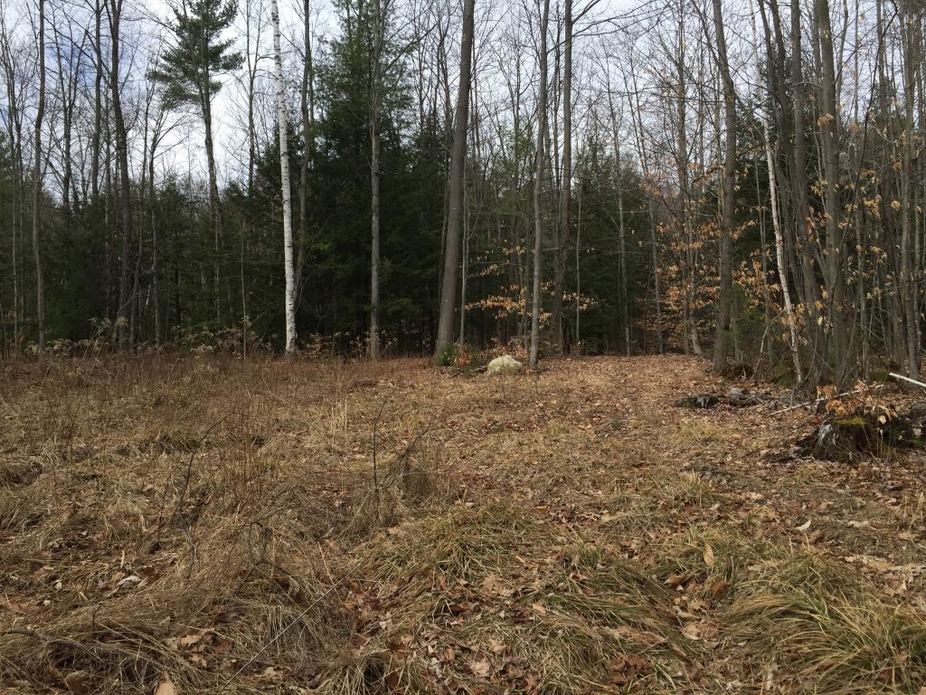 307 Craigue Hill Road Springfield, VT 05156 - Photo 16 of 18
