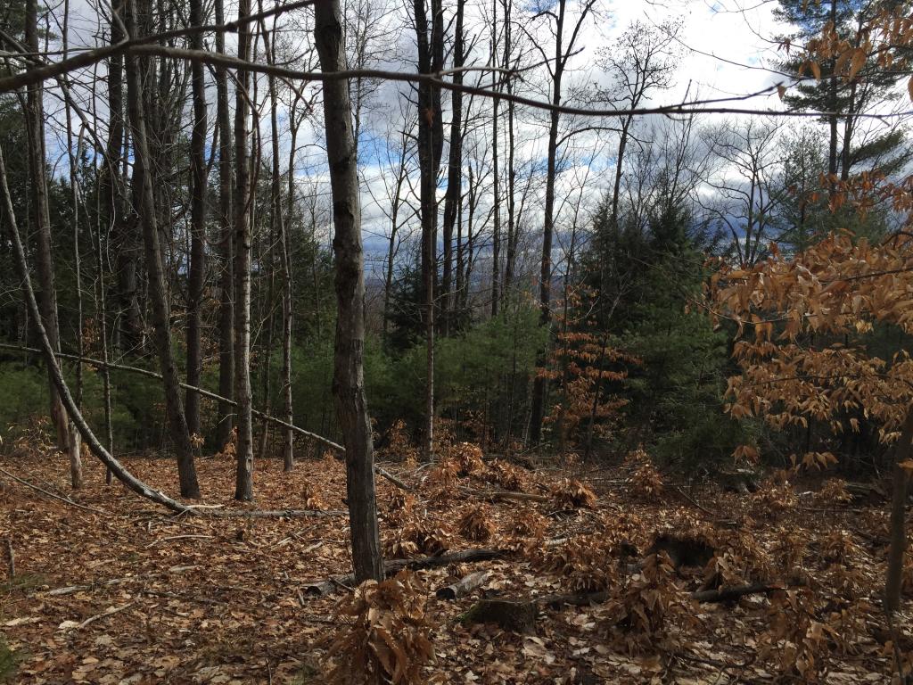 307 Craigue Hill Road Springfield, VT 05156 - Photo 4 of 18