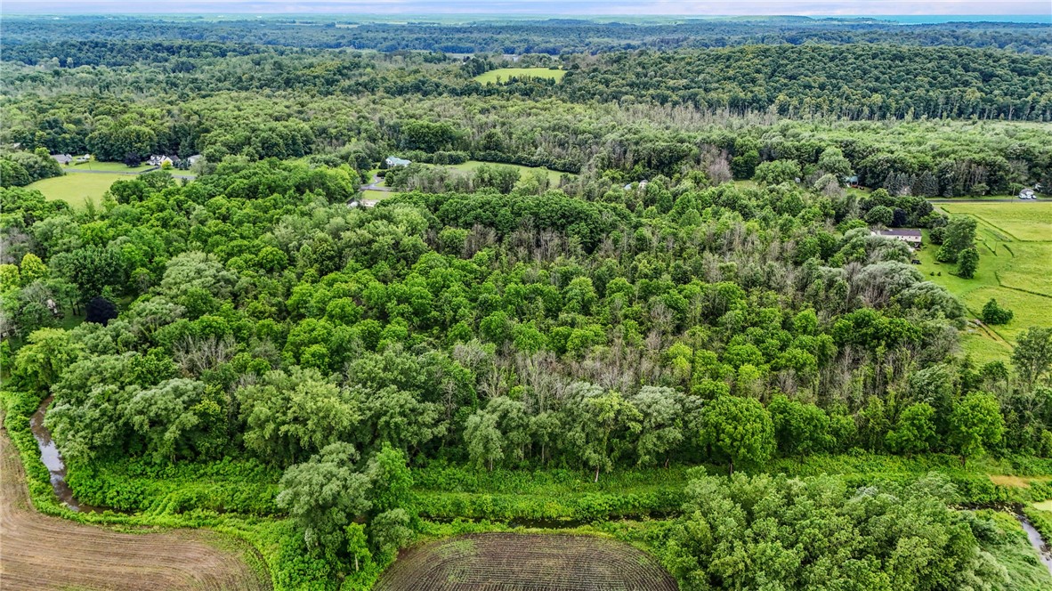 7916 Brown Road Wolcott, NY 14590 - Photo 7 of 7